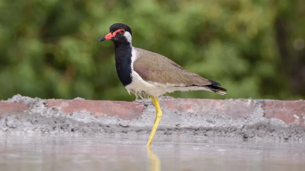 6 façons de profiter de la nature avec style dans le Sud